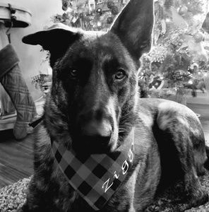 Meet your Posher, Pk